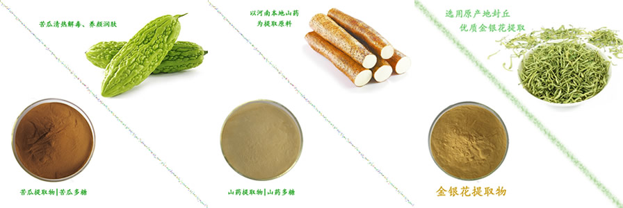 中药提取物