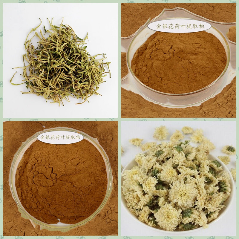 金银花荷叶复方提取物