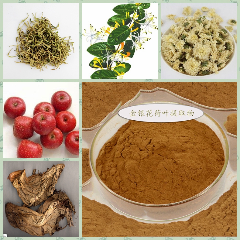 金银花荷叶复方提取物