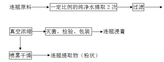 连翘提取物提取工艺流程