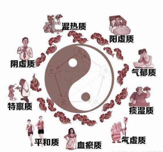 什么是体质？人体分为哪些体质？