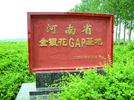 河南省十大中药材种植基地都在哪儿？