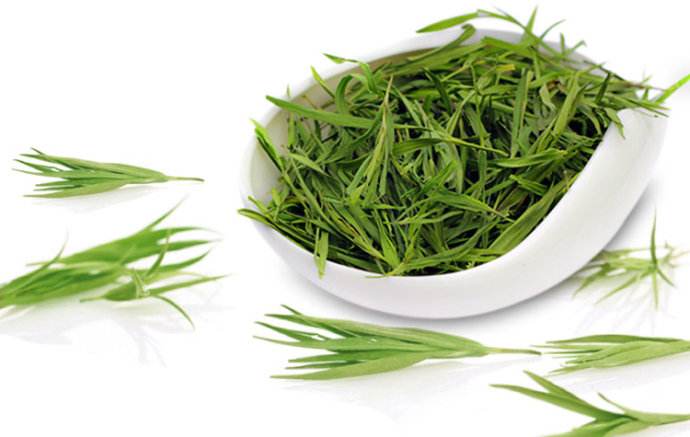 中药大全-清热类-清热泻火药-淡竹叶