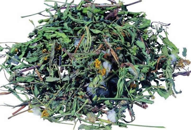 中药大全-清热类-清热解毒-蒲公英