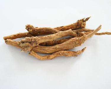 中药大全-清热类-清热燥湿药-黄芩